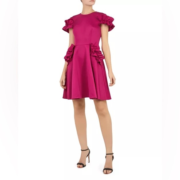 TED BAKER  Pink Ruffle Dress - Picture 2 of 9